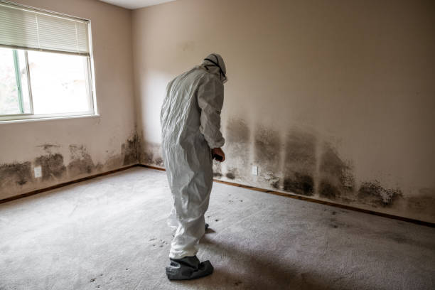 Water Damage Restoration in Burns Flat, OK